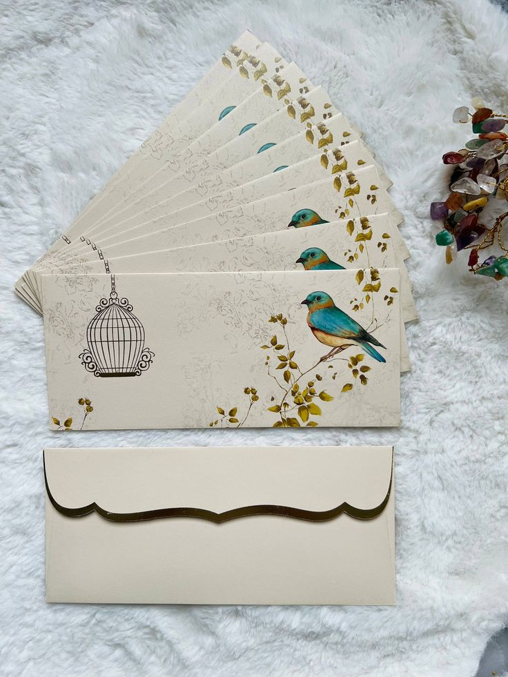 shagun envelopes in shimla
